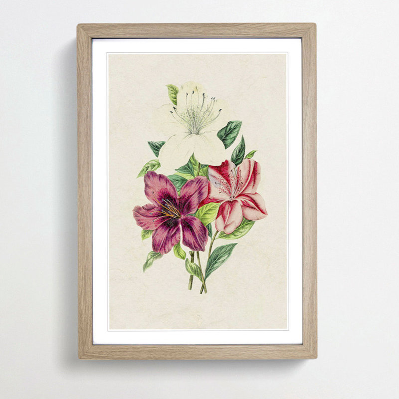 Illustration of Beautiful Flowers - Picture Frame Graphic Art Print on MDF, Oak Framed, 48cm H x 36cm W x 2cm D