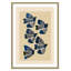 Imprimé indigo par ville-129130745-129130786-129130804
