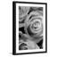 Judy Stalus - Single Picture Frame Print-20708747