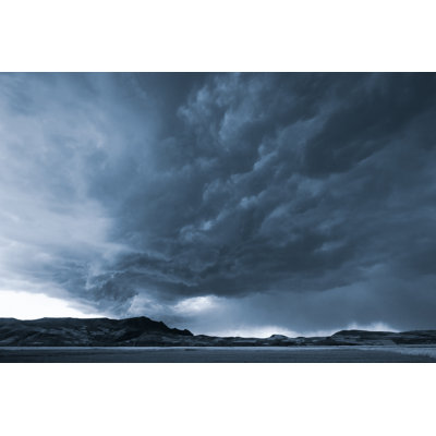 Wheat In Storm by Chinaface - Wrapped Canvas Print