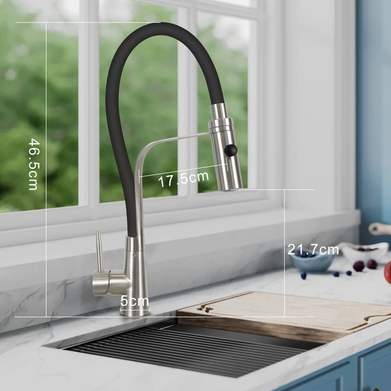 Belfry Kitchen Langworthy Pull Down Kitchen Faucet