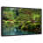 Floating Frame Black