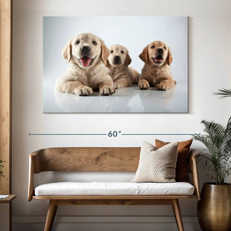 Brampt Golden Retriever de Brampt, H 34 po x l 51 po