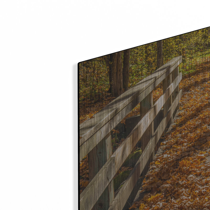 «Fall On The Footbridge» par Tim Oldford, H 16 po x l 24 po