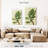 Harnek Front Yard Succulent III-108545233