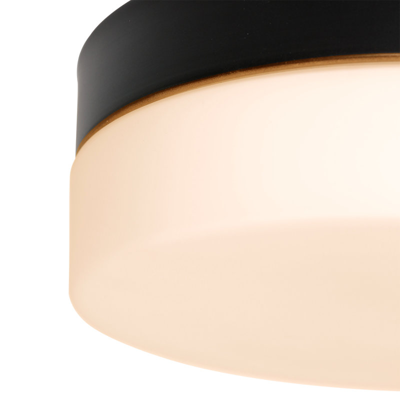 Audreona LED Flush Ceiling Lights