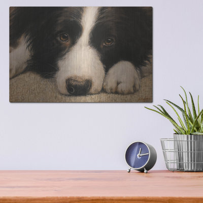 «Border Collie Love» par John Silver