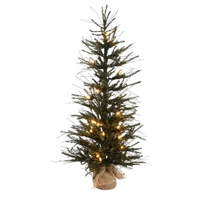 Vienna Twig 2.5' Lighted Pine Christmas Tree
