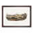 Walnut Framed selected