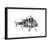 " Sheepshead " by Andrew Clay-20585078