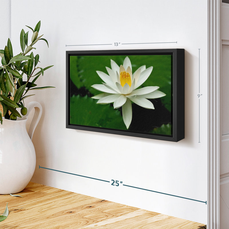 Floral et botanique «Fleur de lotus blanche», H 9 po x l 13 po