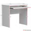Reiban Computer Desk-40478095