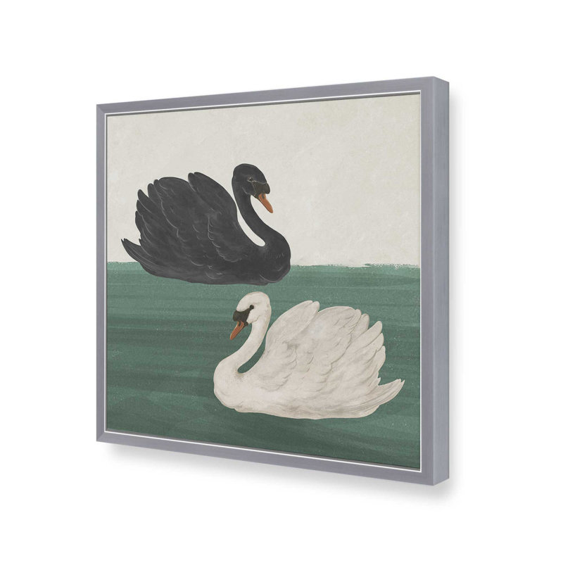 «Black Swan», reproduction d'art par Laura Graves, 30" H x 30" W, Silver