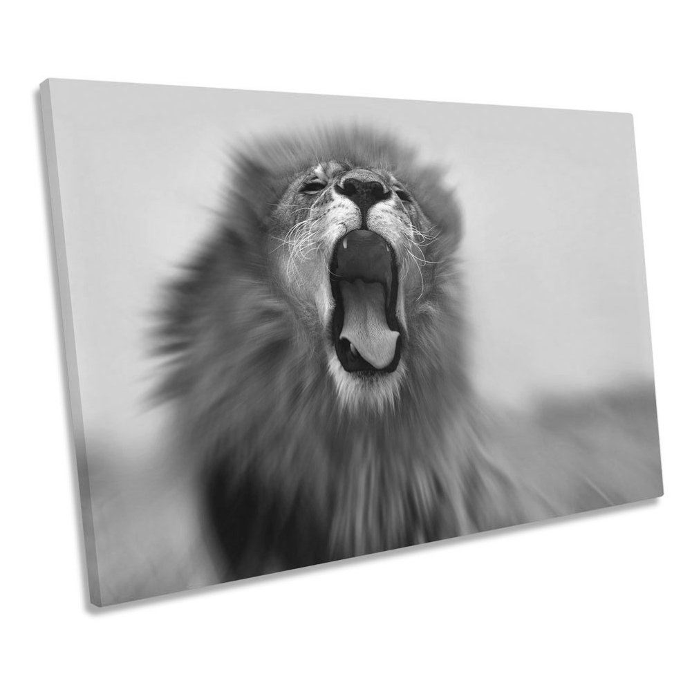 Lion Roar Safari B&W - Wrapped Canvas Print