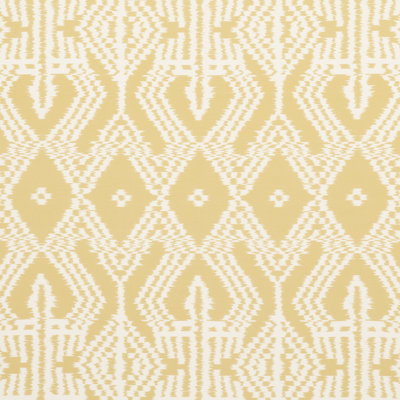 Asaka Ikat Fabric