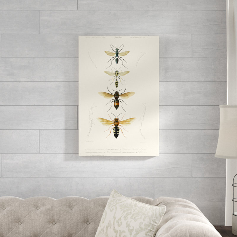 'Antique Bees II' by Blanchard - Painting Print, 76cm H x 51cm W, Wrapped Canvas