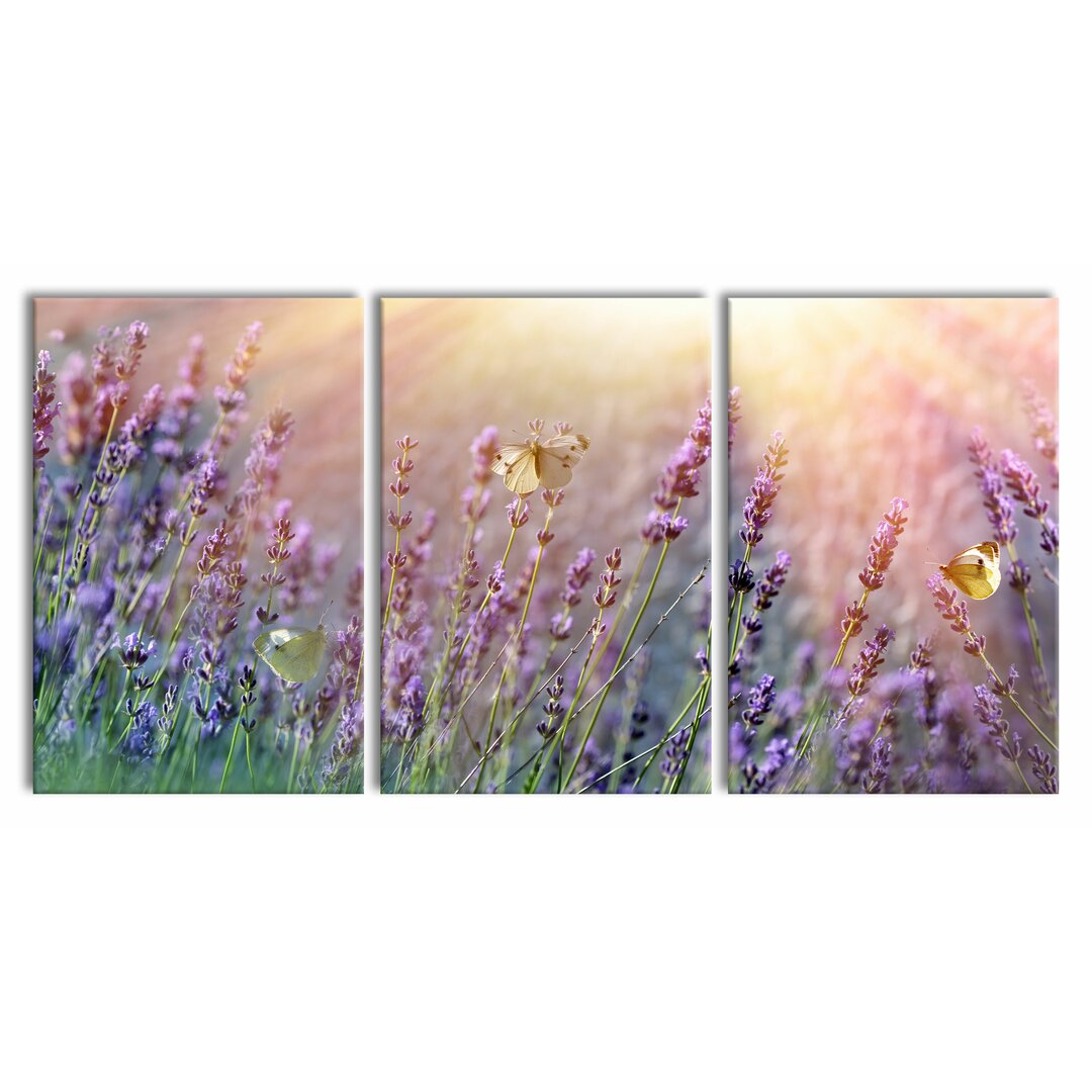 3-tlg. Leinwandbilder-Set Butterflies on Lavender Flowers