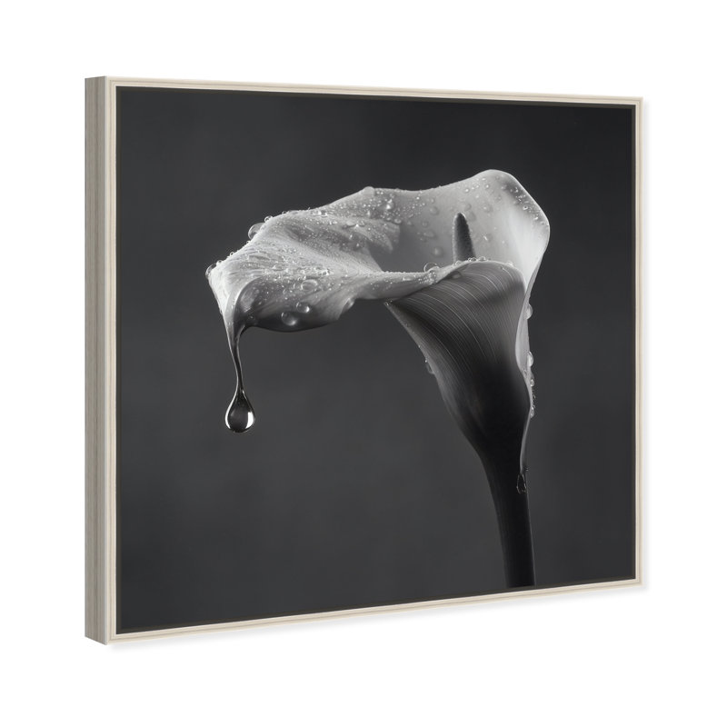 Midnight Rain Print by Oliver Gal, 41"H x 41"W, Silver Floater Frame