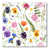 Toile tendue n'est pas disponible