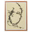 From The VIne C Print by Hable Construction-459405920