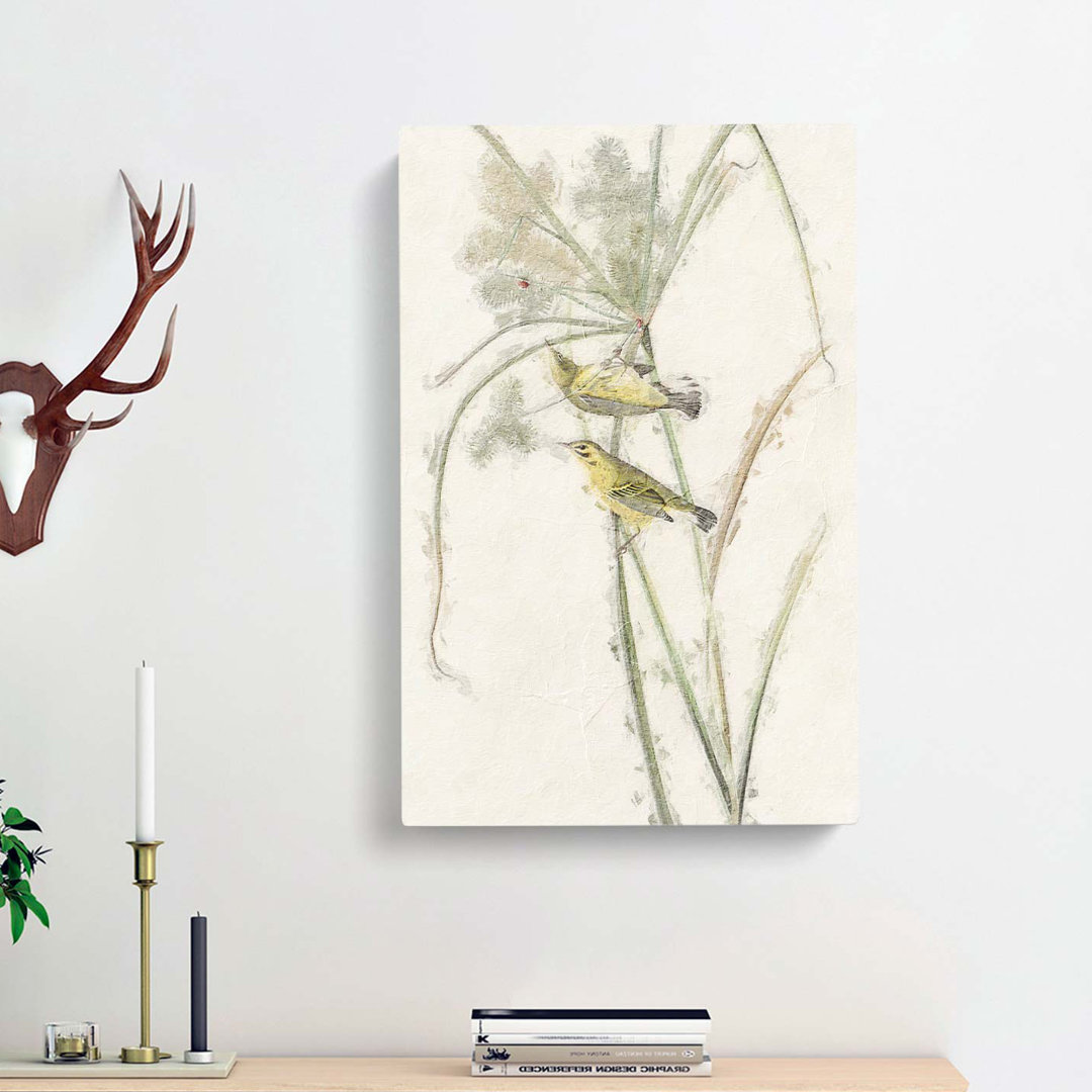 Prairie Warbler Birds by John Audubon - Wrapped Canvas
