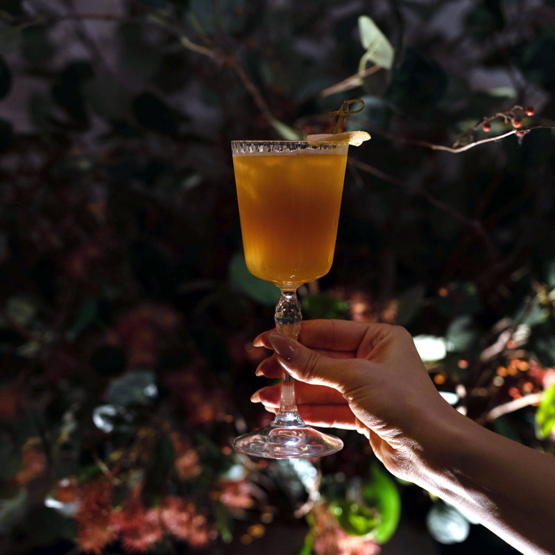 America '20s 8.5 oz. Cocktail Glasses