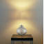 Daphne No Table Lamp