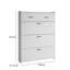 Baneen 8 Pair Shoe Storage Cabinet
