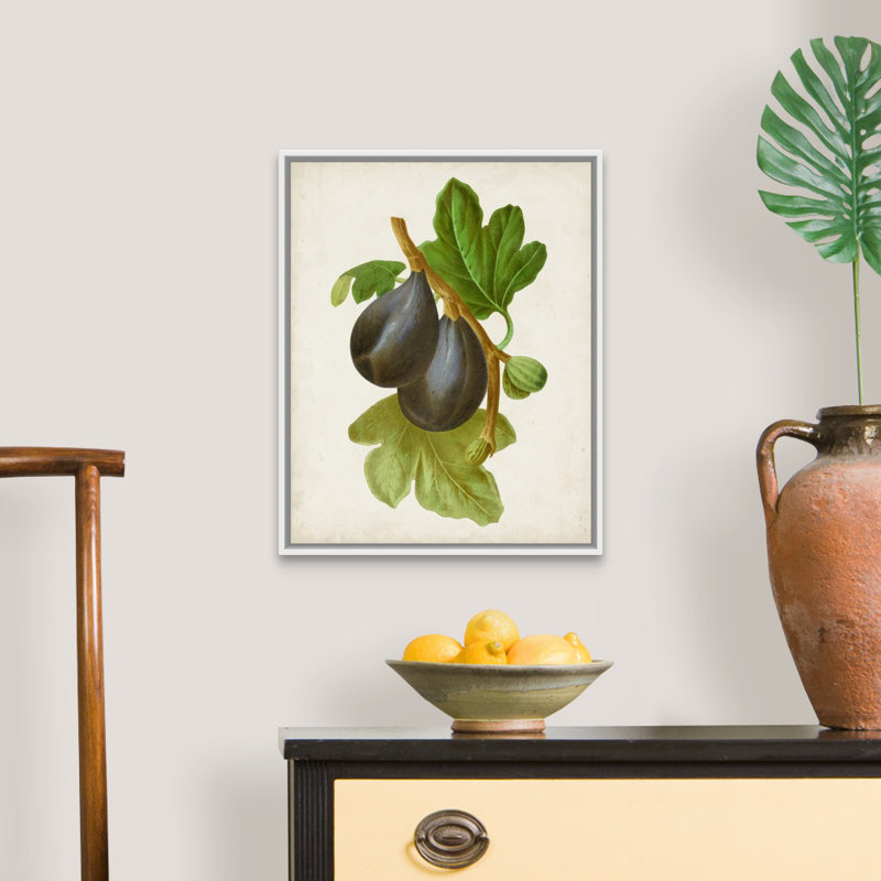 Antique Fruit VI - reproduction d'art sur toile, H 21,7 po x l 17,7 po x P 1,75 po, Cadre flottant blanc