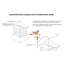 Coupole en bois Eisenhower-1702412622
