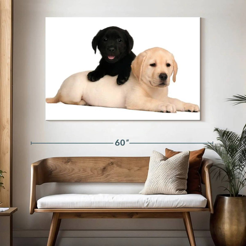Yellow And Black Lab, 34" H x 51" W