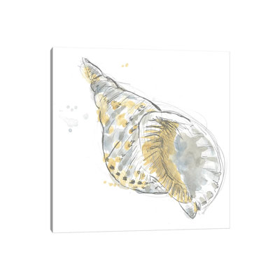 Citron Shell Sketch II by June Erica Vess - Wrapped Canvas Gallery-Wrapped Canvas Giclée