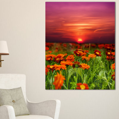 Sunset Flowers with Red Sky Modern Landscape Photographic Print on Wrapped Canvas