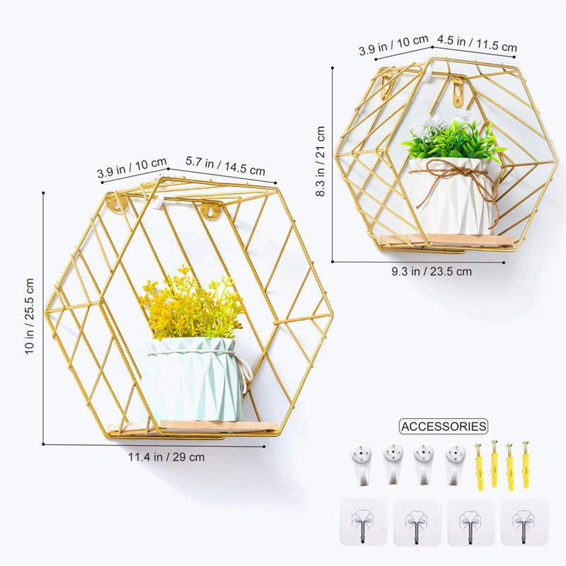 Daeisha 2 Piece Hexagon Floating Shelf