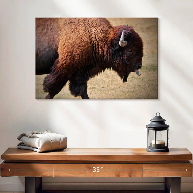 Tongue Wagging Bison, 16" H x 24" W