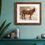 Cheval occidental I - cadre photo-1547326365-1547326356