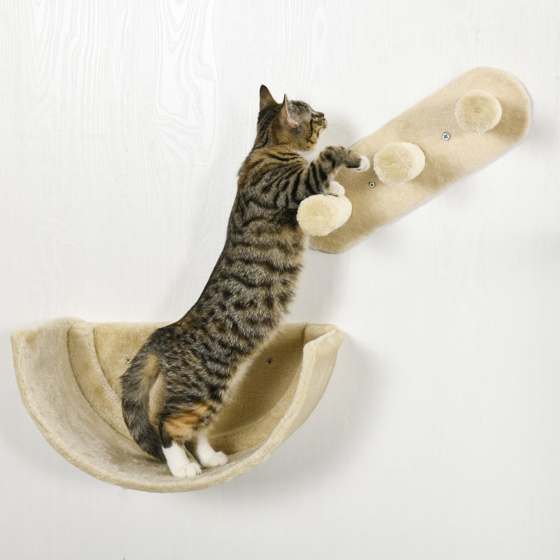 Cat Perch