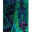 Tapis vert / bleu 4 pi x 6 pi 1 po Overyed One-of-a-Kind