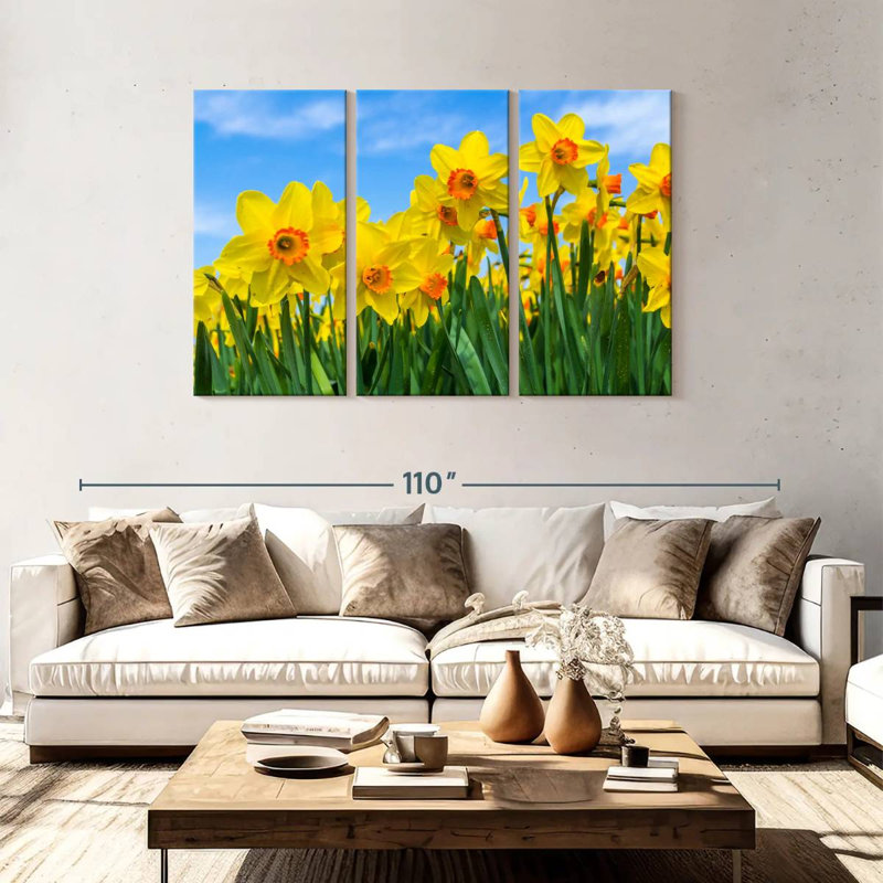 Dutch Master Daffodils, 48" H x 74" W
