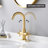 Centerset 2-handle Bathroom Faucet with Drain Assembly