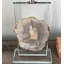 Luminessence Table Lamp