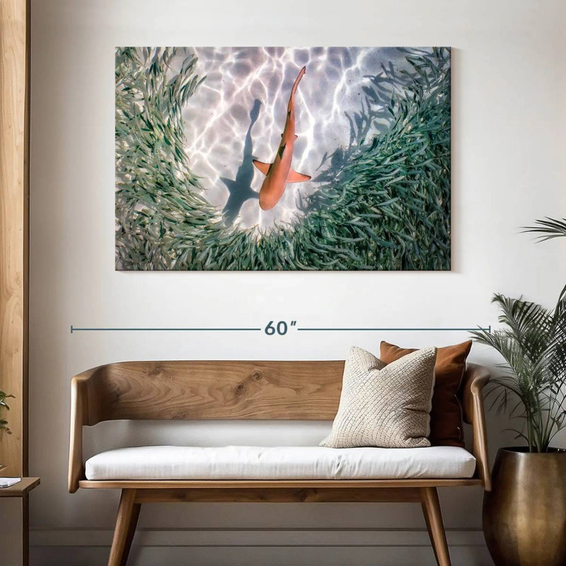 Brampt Baby Blacktip Reef Shark, 32" H x 48" W
