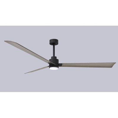 Alessandra Ceiling Fan