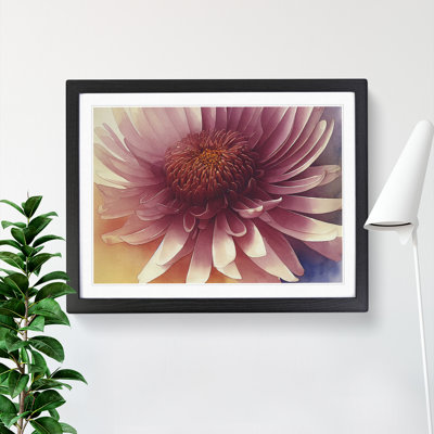 Chrysanthemum Watercolour Flower Vol.4 - Framed Print