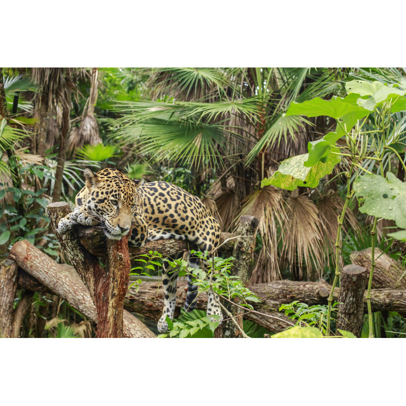 Jaguar par Ivstiv, H 8 po x l 12 po