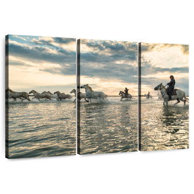 Mehar Camargue, chevaux qui courent dans l'eau