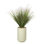 4.5' Onion Grass in Rainey Planter