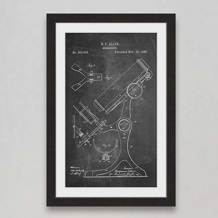 « microscope 1886 craie » par steve king, reproduction d’art encadrée, H 30 po x l 20 po x P 1,5 po