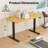 Putnam Height Adjustable Standing Desks-194064653-194064657