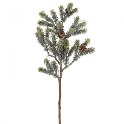Frosted Branch With Cones